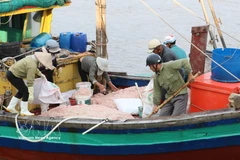 Fishing boats operating near the shore in Giao Ninh commune, Ninh Binh province (Photo: VNA)