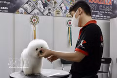 In major cities such as Hanoi and Ho Chi Minh City, demand for pet-related services is surging. (Photo: VNA)