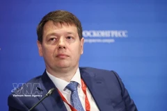 Russian Deputy Minister of Economic Development Vladimir Evgenievich Ilyichev (Photo: VNA)