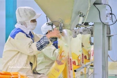 Rice packaging for export at the factory of Thao Son One Member Limited Liability Food Company, under Loc Troi Group JSC. (Photo: VNA)