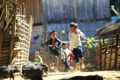 Achievements in education, healthcare, social welfare – solid foundation for Vietnam’s steady development