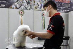 In major cities such as Hanoi and Ho Chi Minh City, demand for pet-related services is surging. (Photo: VNA)