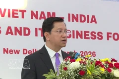Vietnam, India step up cooperation in electronics, IT