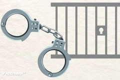 Illustrative image (Photo: VNA)