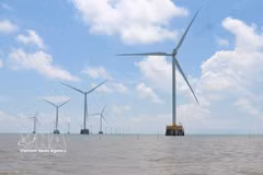Phase 1 and Phase 2 of the Tan Thuan Wind Power Plant in Tan Thuan commune, Ca Mau province, have a combined installed capacity of 75 MW, comprising 18 wind turbines. (Photo: VNA)