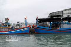 The newly launched “Legal departure, safe return” model encourages fishermen to comply with regulations throughout every fishing trip, from departure to docking. (Illustrative photo: VNA)