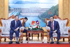 Vietnamese Ambassador to Laos Nguyen Minh Tam (L) meets with Secretary of the Vientiane provincial Party Committee and Chairman of the provincial People's Council Phouthanouphet Xaysombath on July 14. (Photo: VNA)