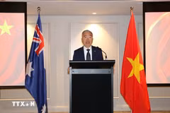 Vietnamese Consul General in Sydney Nguyen Thanh Tung (Photo: VNA)