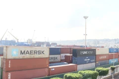 Vietnam-Algeria trade soar over 200% in the first 10 months of this year to nearly 500 million USD (Illustrative image. Photo: VNA)