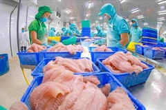 Workers process tra fish for export. (Photo: VNA)
