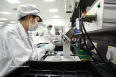 Workers produce electronic components at the Star Engineers Vietnam Co., Ltd. in Binh Xuyen Industrial Park, Phu Tho province. (Photo: VNA)