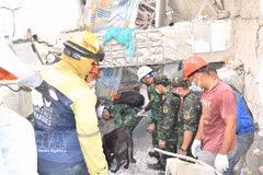 Vietnamese military personnel search for victims in a rubble in Venezuela. (Photo: VNA)