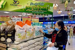 A woman shops at the Vietnamese goods section of Co.opmart Ly Thuong Kiet supermarket in Ho Chi Minh City. (Photo: VNA)