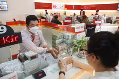 The State Bank of Vietnam set the daily reference exchange rate at 25,102 VND/USD on April 17. (Photo: VNA)