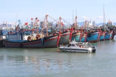 Khanh Hoa province is closely monitoring its fishing fleet. (Photo: nongnghiepmoitruong.vn)