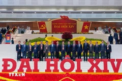 Ambassador Trinh Duc Hai (third from right) and other delegates attending the 14th National Party Congress (Photo: VNA)