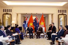 General Secretary of the Communist Party of Vietnam (CPV) Central Committee and President To Lam meets with Governor-General of Australia Sam Mostyn (Photo: VNA)