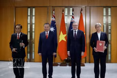 General Secretary of the Central Committee of the Communist Party of Vietnam and President of Vietnam To Lam (second, left) and Australian Prime Minister Anthony Albanese (second, right) witness the exchange of cooperation documents between the two countries on August 11, 2026. (Photo: VNA)