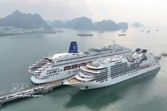A panoramic view of Ha Long International Cruise Port bustling on the morning of the first day of the Lunar New Year 2026, with the arrival of the luxury super cruise ships Seabourn Encore and Piano Land. (Photo: VNA)
