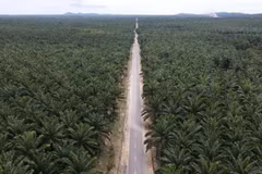 Illustrative photo (Photo: thejakartapost.com)