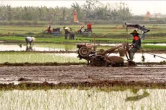 Malaysia moves to protect farmland from industrial expansion