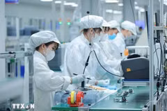The Vietnamese Government has identified the semiconductor industry as a key breakthrough sector, capable of driving the country into a new phase of development. (Photo: VNA)