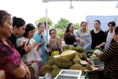 Tourists and locals shop for Vietnamese durian products. (Photo: VNA)