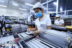 Labourers are working at a foreign-invested company (Photo: VNA)