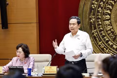 NA Chairman Tran Thanh Man speaks at the working session with standing members of the NA's Committee for Economic and Financial Affairs in Hanoi on May 20. (Photo: VNA)