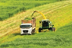 TH Group aims to reduce average annual GHG emissions by 15% at its farms and factories. (Photo: Courtesy of TH Group)