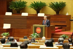 Party General Secretary To Lam addresses the national conference held on February 7 to disseminate and implement the Resolution of the 14th National Party Congress. (Photo: VNA)
