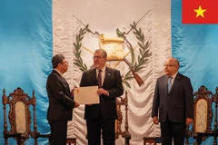 Ambassador Nguyen Van Hai (first, left) presents the letter of credence from State President Luong Cuong to Guatemalan President Bernardo Arévalo (Photo: VNA)