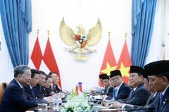 General Secretary of the Communist Party of Vietnam (CPV) Central Committee To Lam holds talks with Indonesian President Prabowo Subianto in Jakarta on March 10. (Photo: VNA)