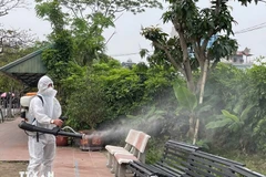 Vietnam, China, Laos conduct cross-border infectious disease emergency response drill