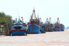 Fishing vessels in the Mekong Delta province of Ben Tre (Photo: nongnghiep.vn)