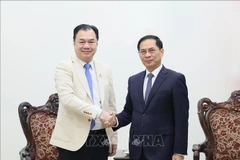 Deputy Prime Minister Bui Thanh Son receives Kounlaphanh Vongnathy, Vice President of Phongsupthavy Group, in Hanoi on December 12, 2025. (Photo: VNA)