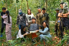 Wild animals are released back into their natural habitat. (Photo: Courtesy of Department of Forestry and Forest Protection)