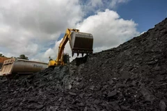 Malaysia imports coal-fired fuel at record level