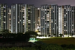 Singapore seeks 'renewable fuel', nuclear ties 