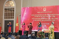 A performance at the event (Photo: phapluat.tuoitrethudo.vn)