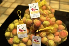 Hai Duong lychees are sold at a supermarket in Paris. (Photo: VNA)