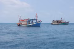 Ca Mau is currently home to more than 5,200 fishing vessels, including nearly 1,900 boats measuring over 15 metres in length, and all have been equipped with vessel monitoring systems. (Illustrative photo: VNA)