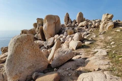 Granite blocks in Nui Chua National Park come in all shapes and sizes. (Photo: VNA)