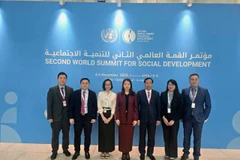 The Vietnamese delegation at the second World Summit for Social Development 2025. (Photo: VNA)