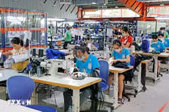 Garment industry contributes a lot to Vietnam's economic growth (Photo: VNA)