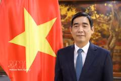 Vietnamese Ambassador to Thailand Pham Viet Hung (Photo: VNA)