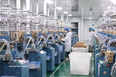 Production activities at FDI enterprises in Tay Ninh province help boost exports, create jobs, and enhance the locality's role in the regional supply chain. (Photo: VNA)