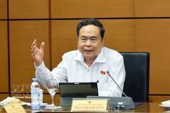 NA Chairman Tran Thanh Man speaks at the group debate on August 4. (Photo: VNA)