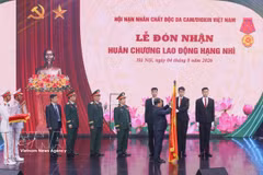 The Vietnam Association for Victims of Agent Orange/Dioxin (VAVA) is awarded the second-class Labour Order by the State President at a ceremony held in Hanoi on August 4. (Photo: VNA)
