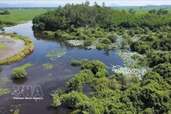 Community tourism breathes new life into Bau Da wetland forest